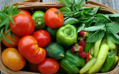 Какие виды овощей наиболее прибыльны для выращивания в теплице