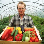 Как увеличить урожайность овощей в теплице